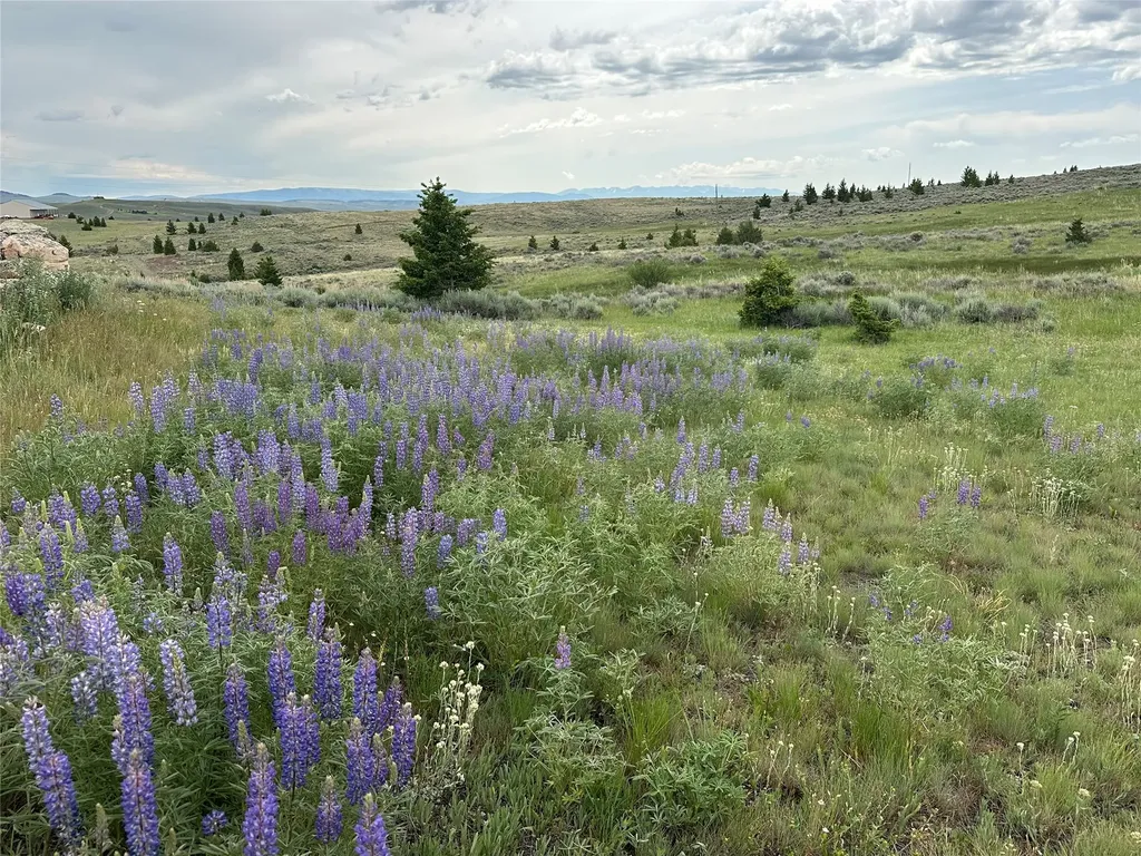 64 Mountain View Trail White Sulphur Springs MT 59645