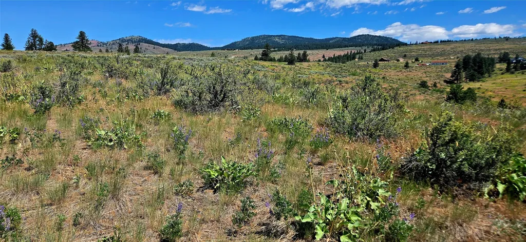 Nhn Upper Woodchuck Road Florence MT 59833