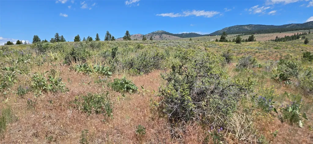 Nhn Upper Woodchuck Road Florence MT 59833