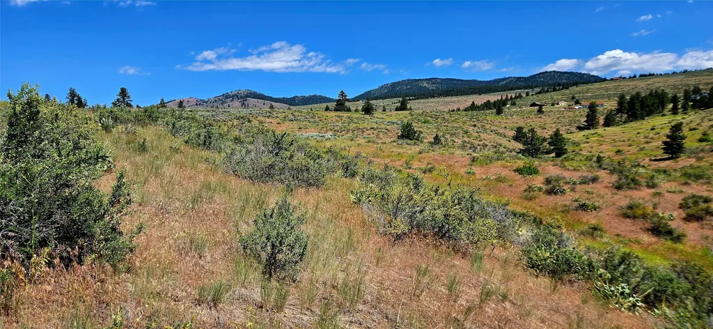 Nhn Upper Woodchuck Road Florence MT 59833