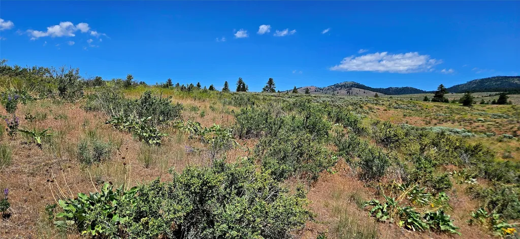 Nhn Upper Woodchuck Road Florence MT 59833