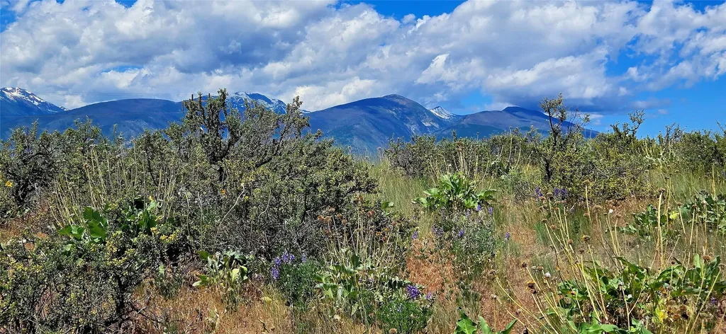 Nhn Upper Woodchuck Road Florence MT 59833