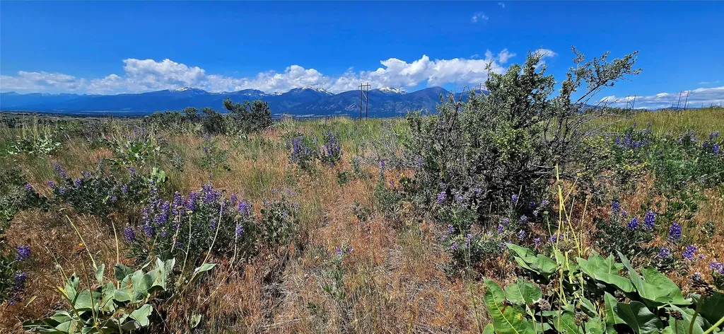 Nhn Upper Woodchuck Road Florence MT 59833