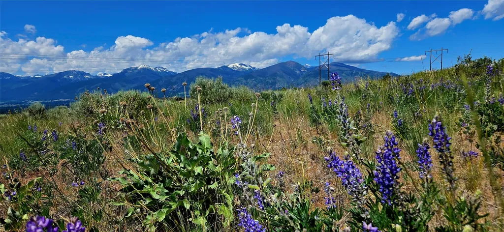 Nhn Upper Woodchuck Road Florence MT 59833
