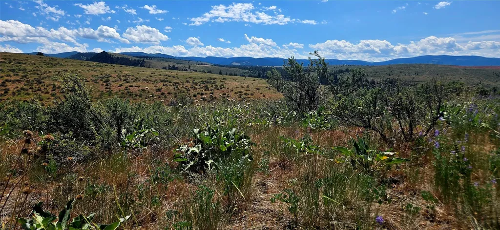 Nhn Upper Woodchuck Road Florence MT 59833