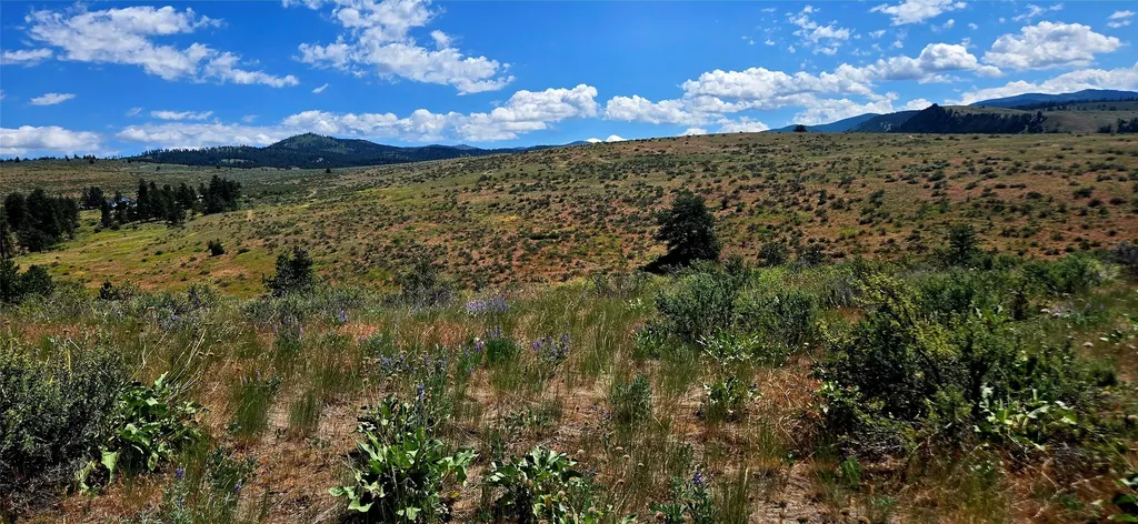 Nhn Upper Woodchuck Road Florence MT 59833