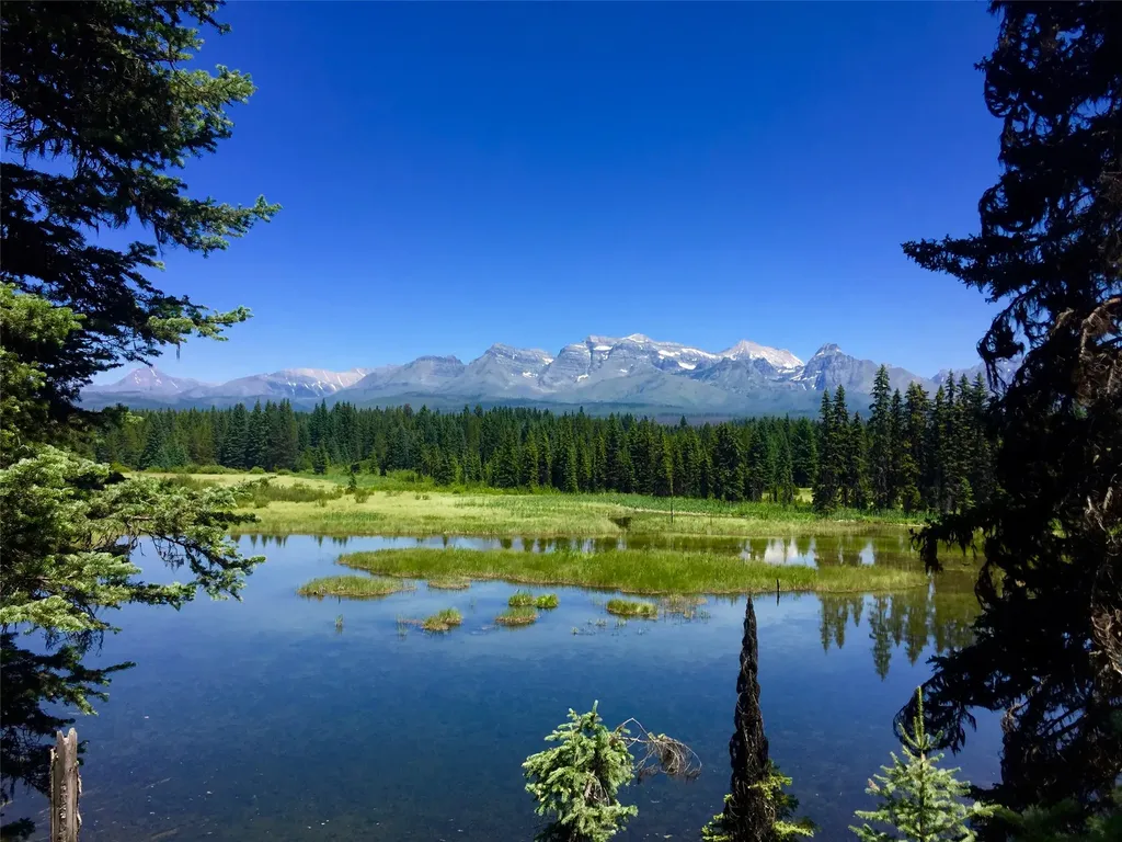 Nhn North Fork Road Polebridge MT 59928