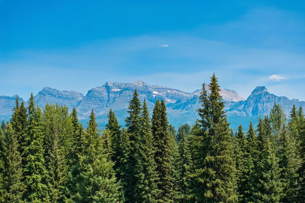 Nhn North Fork Road Polebridge MT 59928