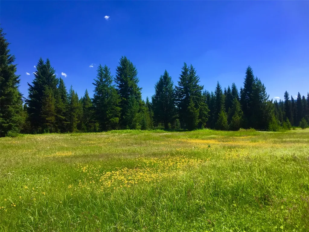 Nhn North Fork Road Polebridge MT 59928