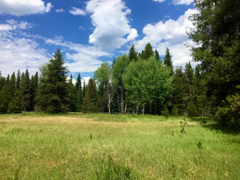 Nhn North Fork Road Polebridge MT 59928