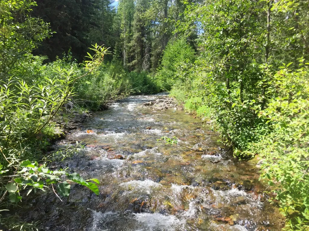 Nhn North Fork Road Polebridge MT 59928