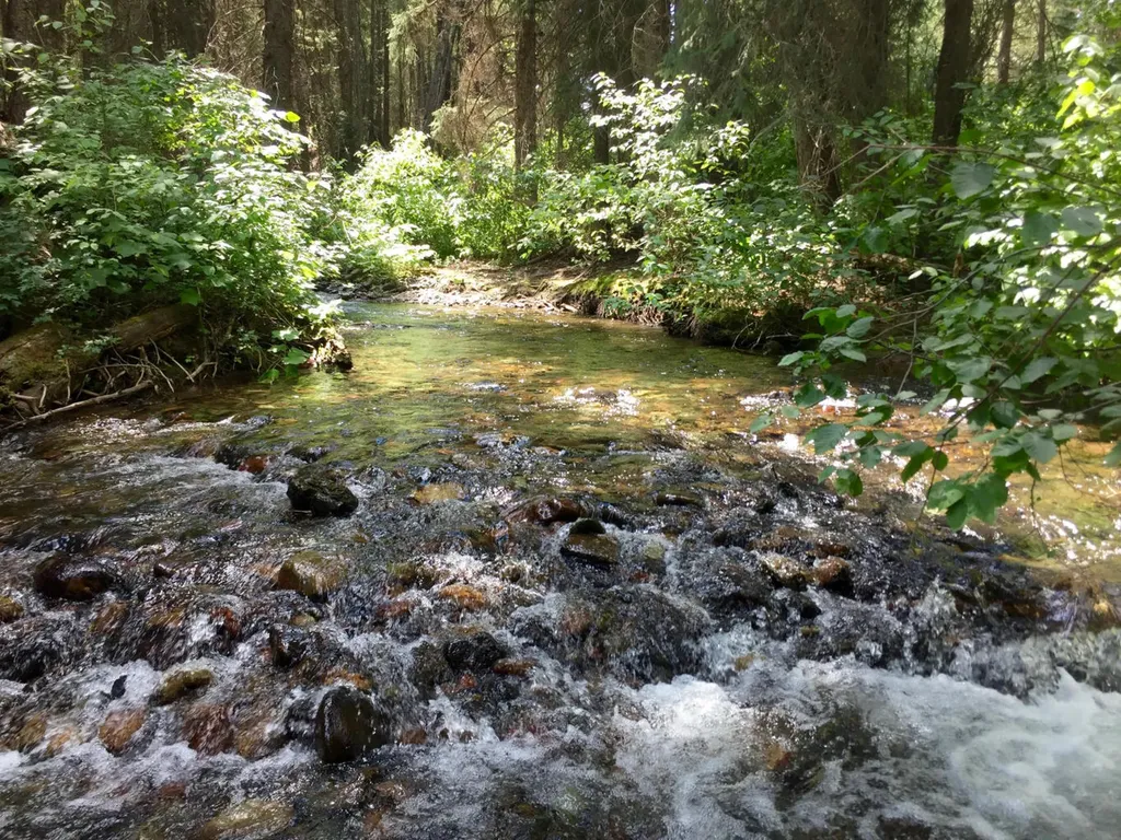 Nhn North Fork Road Polebridge MT 59928