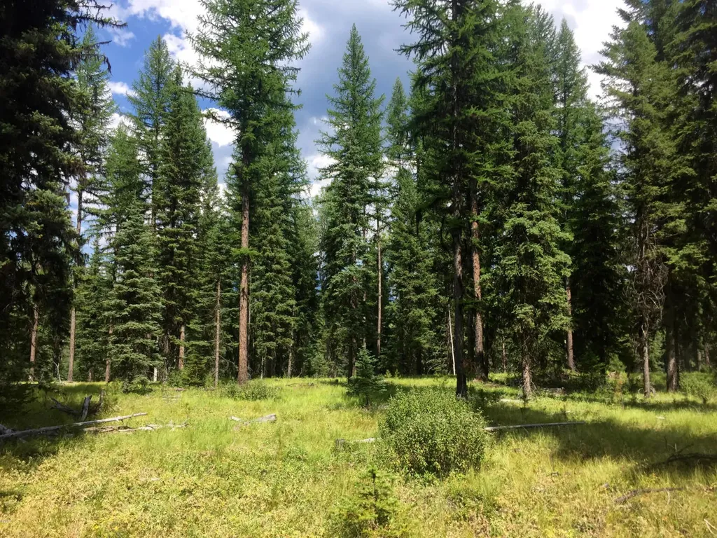 Nhn North Fork Road Polebridge MT 59928
