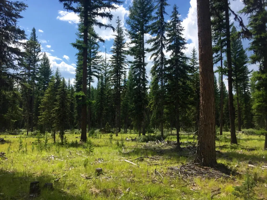 Nhn North Fork Road Polebridge MT 59928