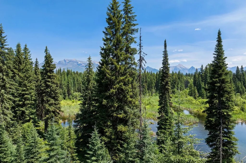 Nhn North Fork Road Polebridge MT 59928