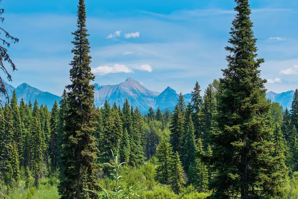 Nhn North Fork Road Polebridge MT 59928