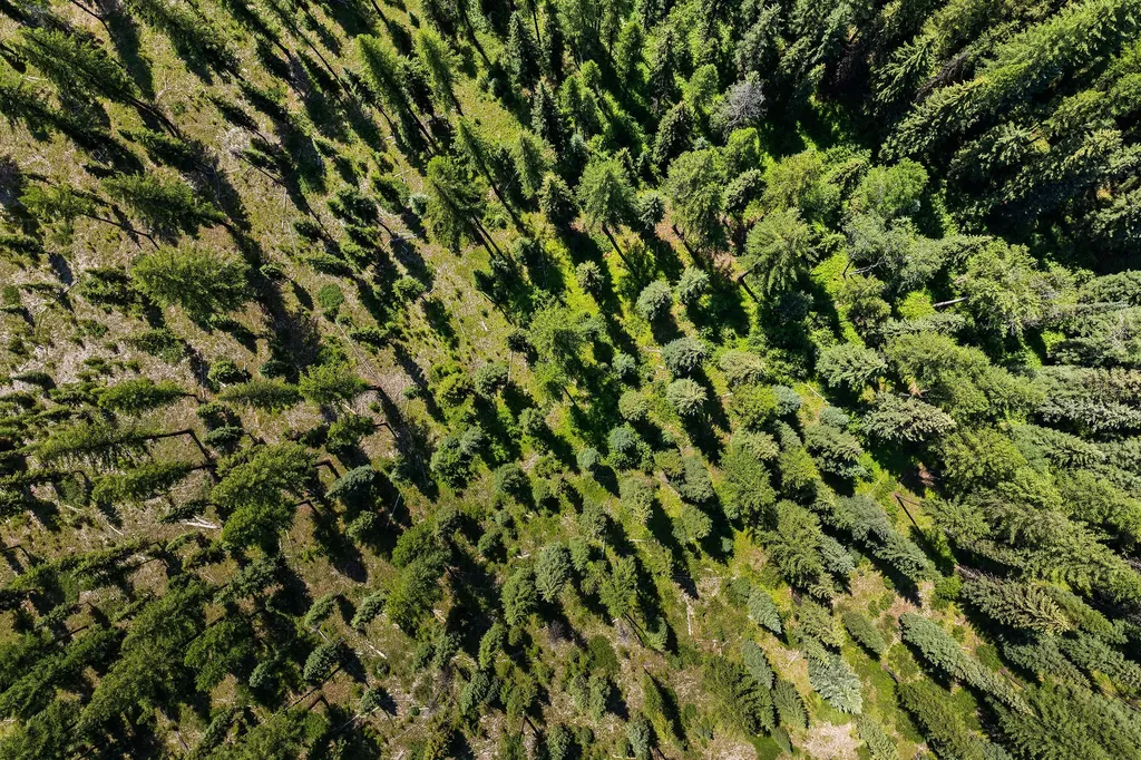 Nhn North Fork Road Polebridge MT 59928