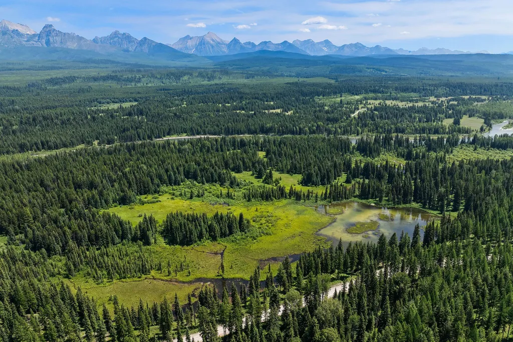 Nhn North Fork Road Polebridge MT 59928