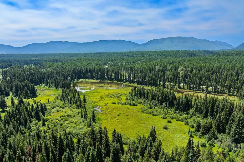 Nhn North Fork Road Polebridge MT 59928