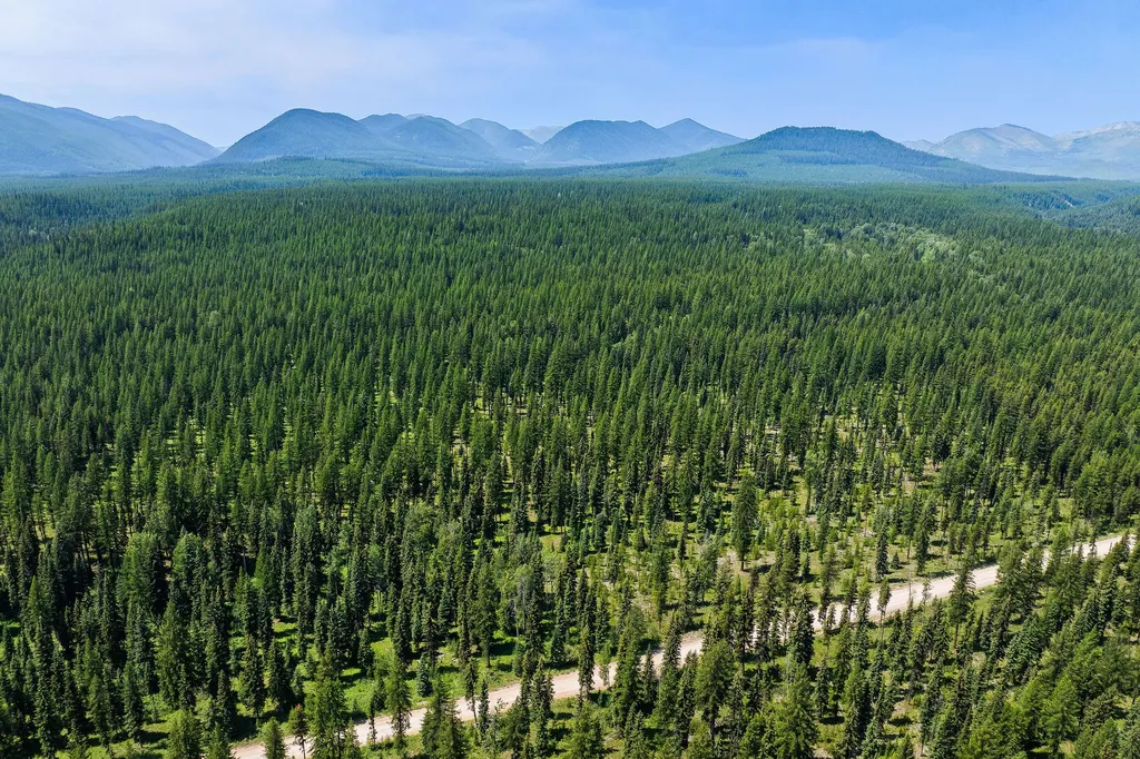Nhn North Fork Road Polebridge MT 59928