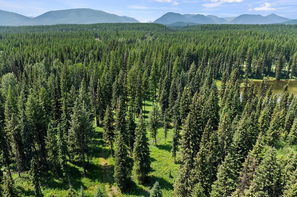Nhn North Fork Road Polebridge MT 59928