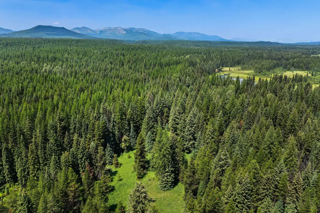 Nhn North Fork Road Polebridge MT 59928