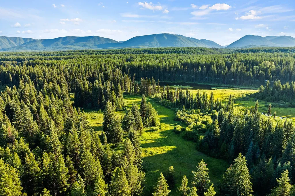 Nhn North Fork Road Polebridge MT 59928