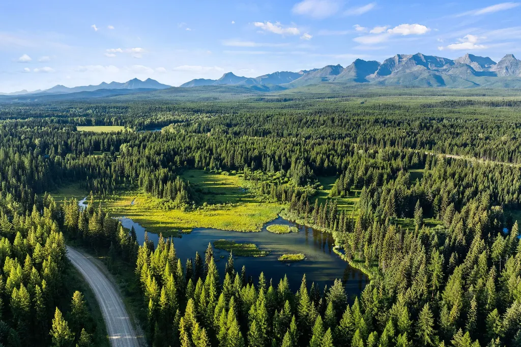 Nhn North Fork Road Polebridge MT 59928