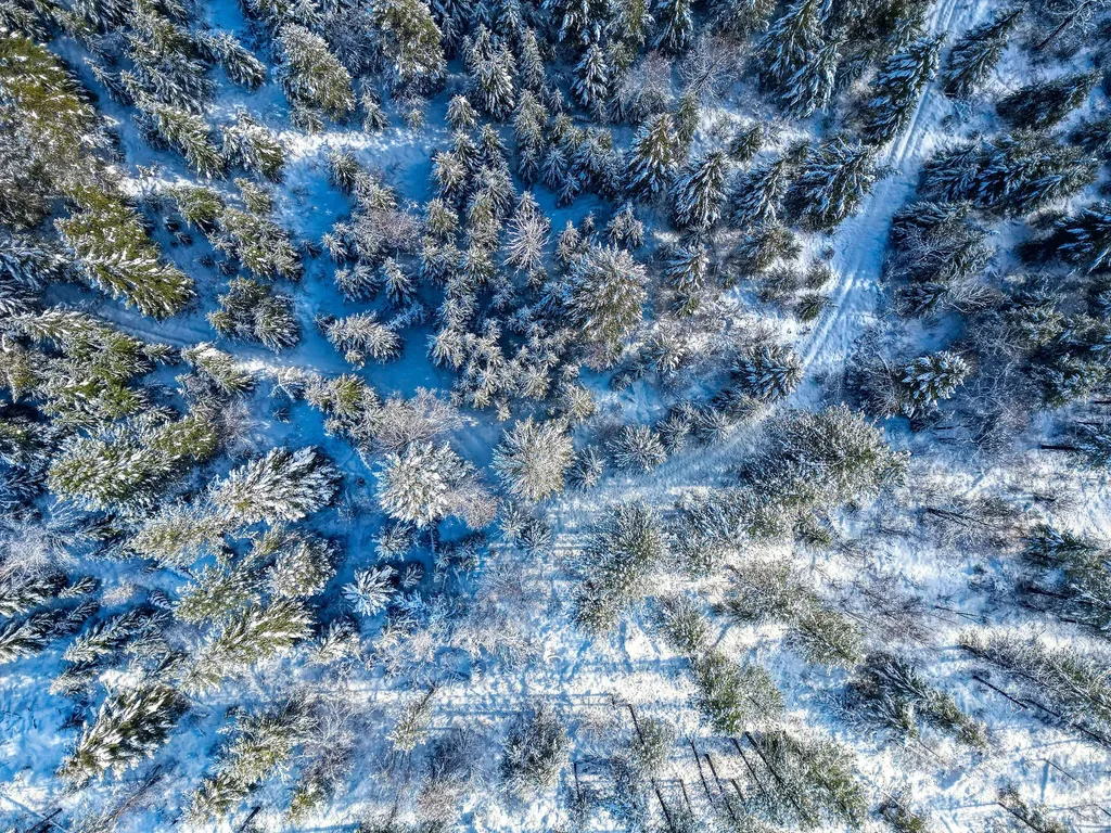 11315 Us Highway 2 E West Glacier MT 59936