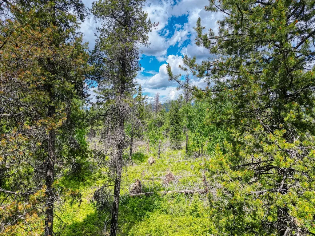 11315 Us Highway 2 E West Glacier MT 59936
