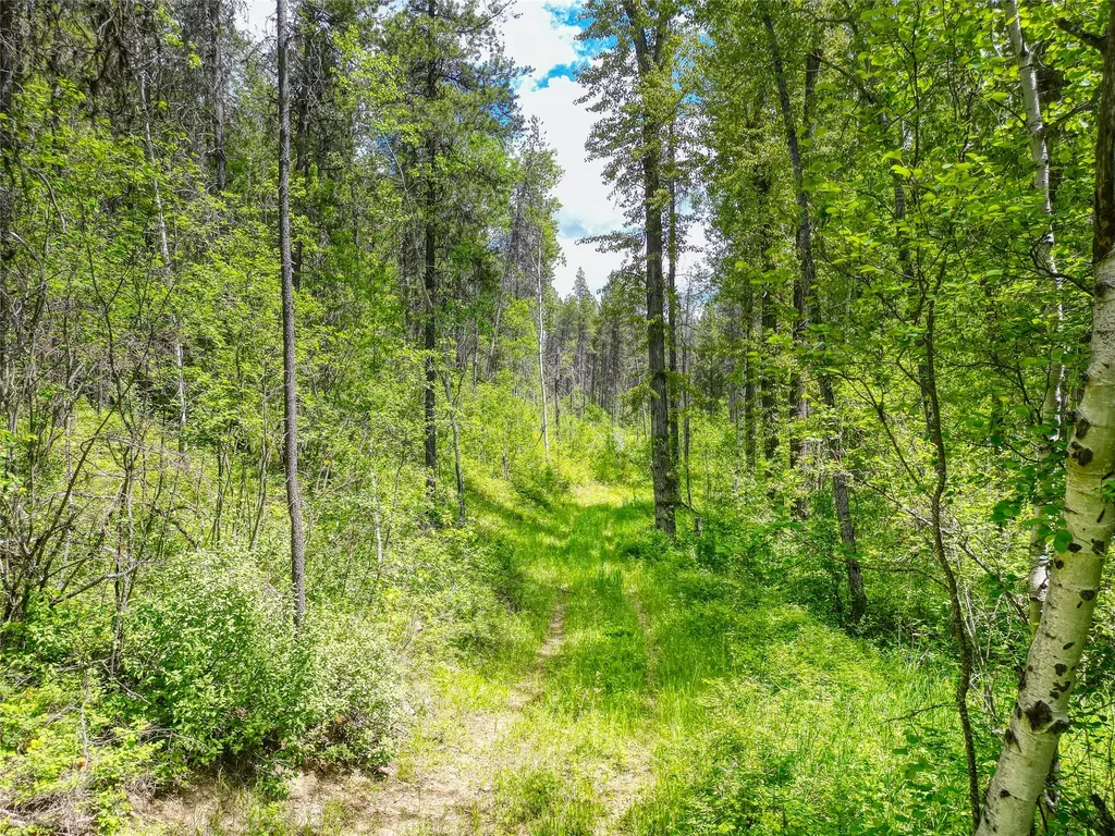 11315 Us Highway 2 E West Glacier MT 59936