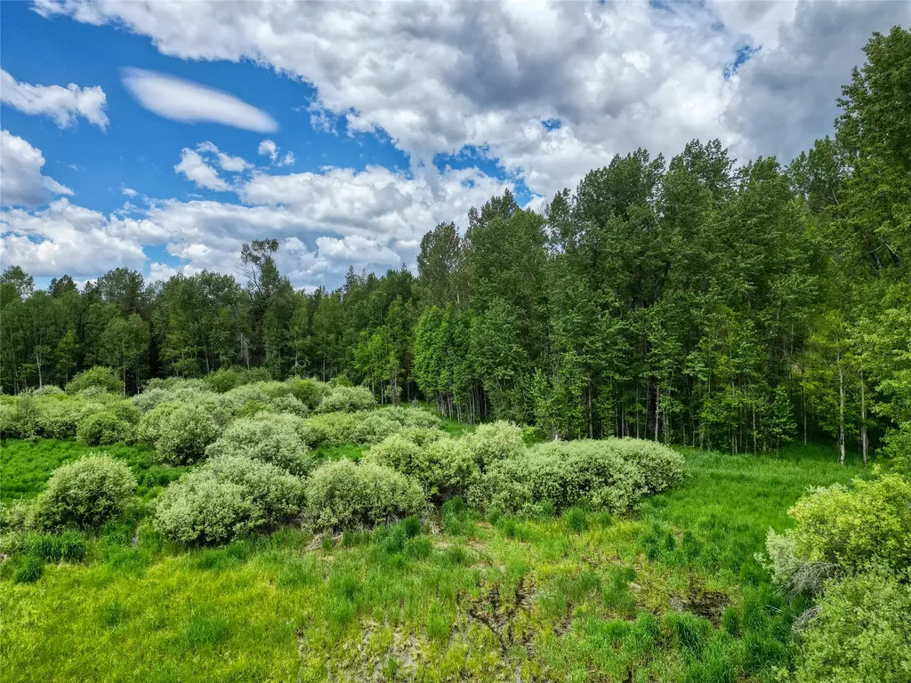 11315 Us Highway 2 E West Glacier MT 59936