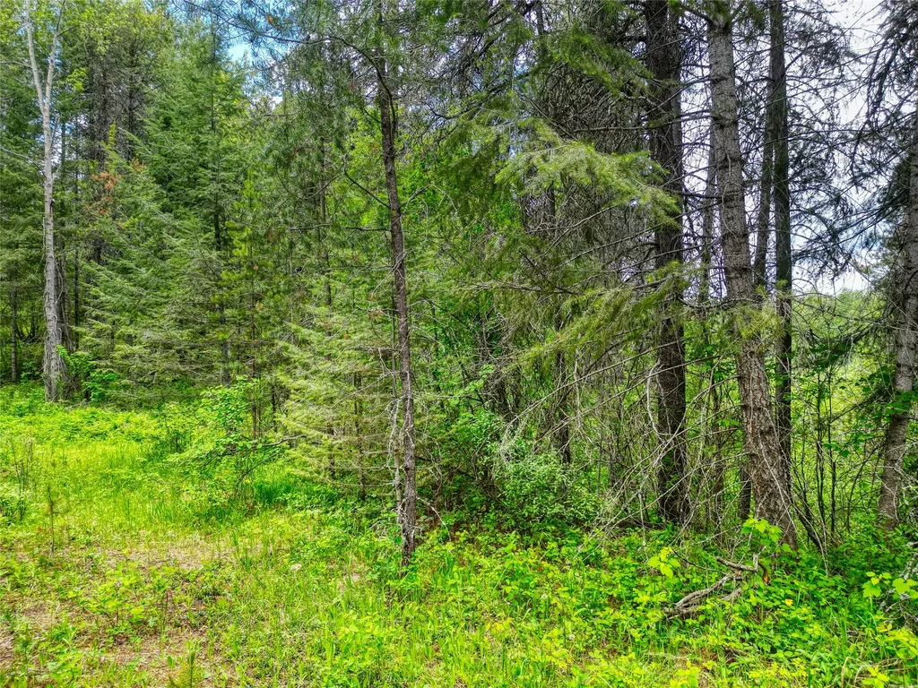 11315 Us Highway 2 E West Glacier MT 59936