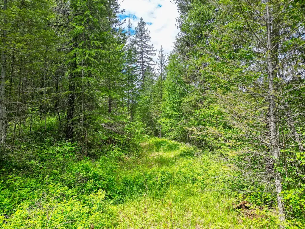 11315 Us Highway 2 E West Glacier MT 59936