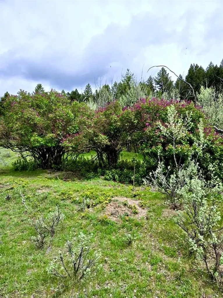 Nhn Ray Flanagan Lane Eureka MT 59917