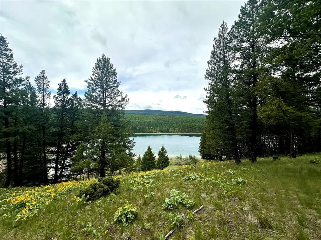 Nhn Ray Flanagan Lane Eureka MT 59917