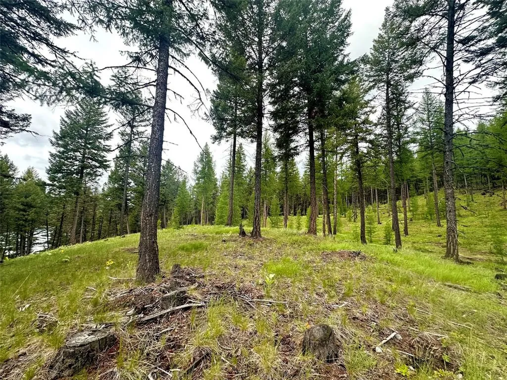 Nhn Ray Flanagan Lane Eureka MT 59917