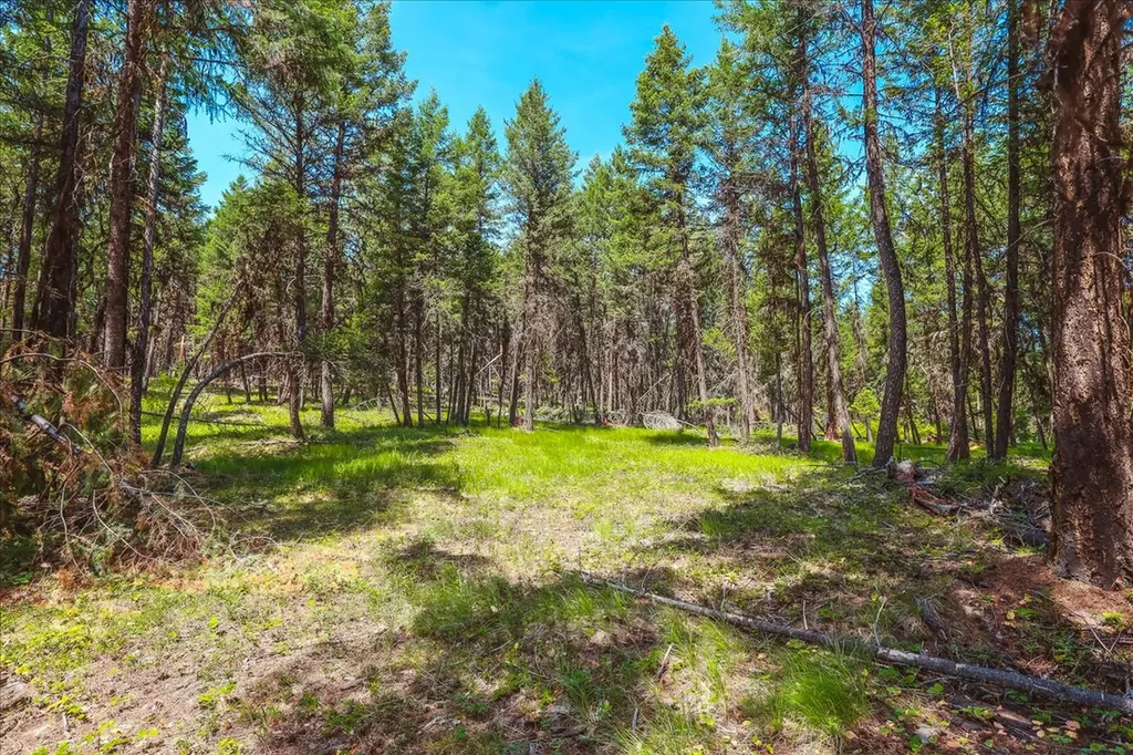 Nhn Ray Flanagan Lane Eureka MT 59917