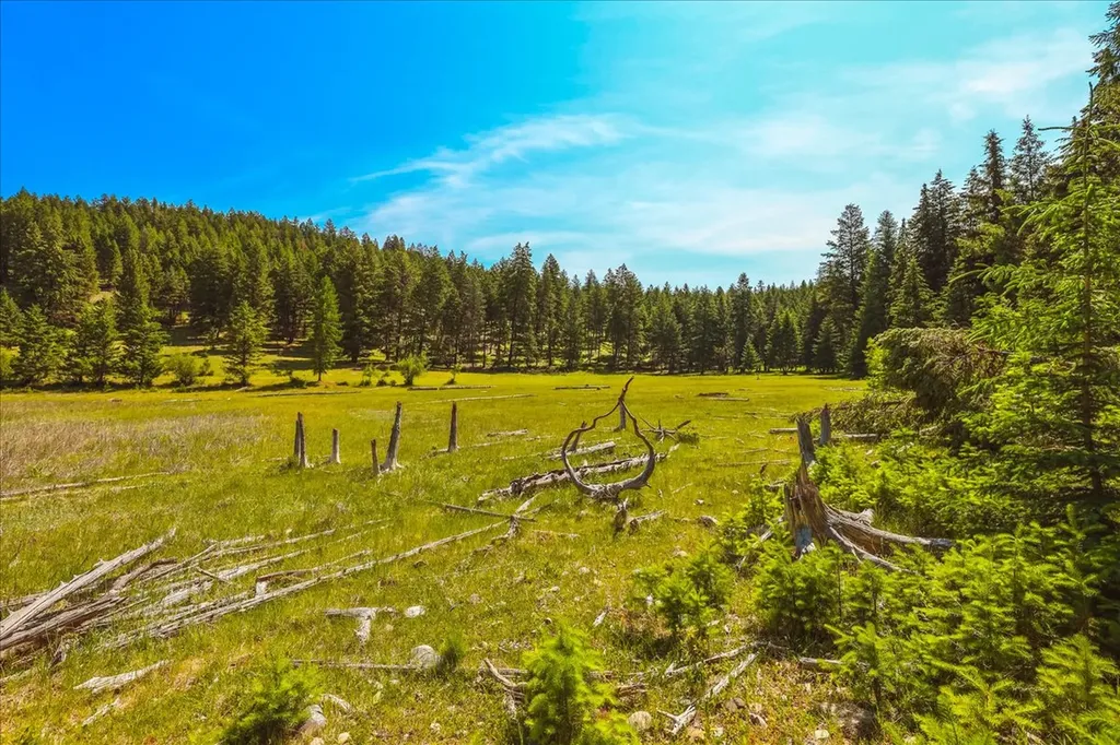 Nhn Ray Flanagan Lane Eureka MT 59917
