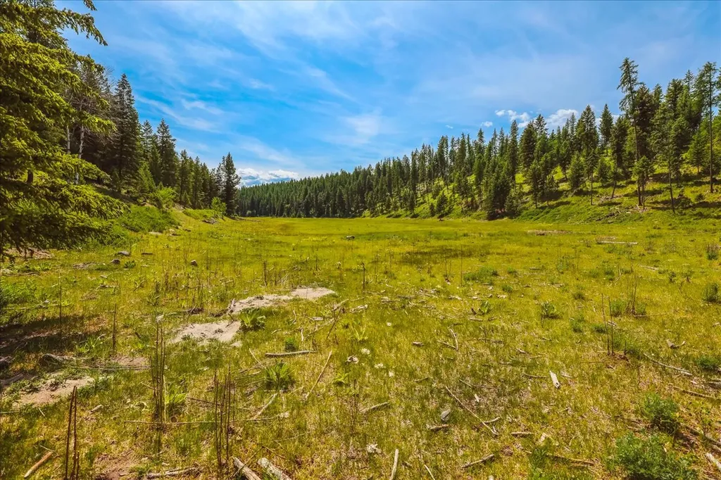Nhn Ray Flanagan Lane Eureka MT 59917