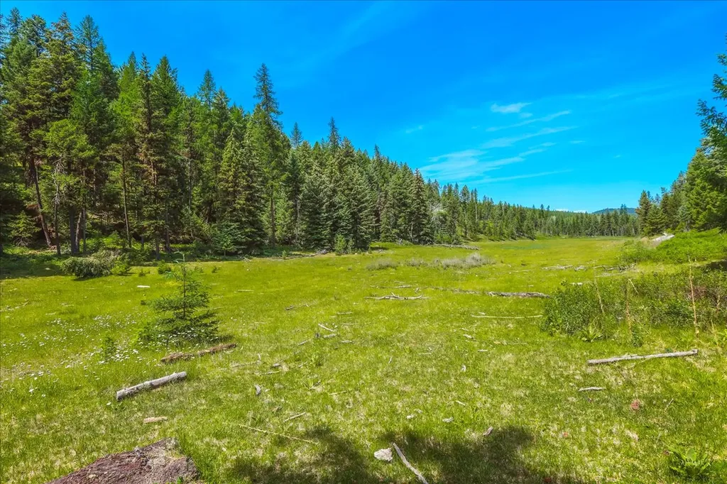 Nhn Ray Flanagan Lane Eureka MT 59917