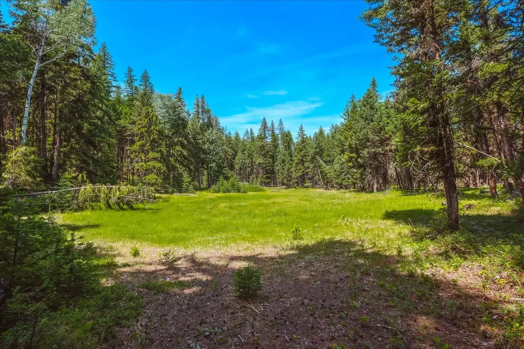 Nhn Ray Flanagan Lane Eureka MT 59917