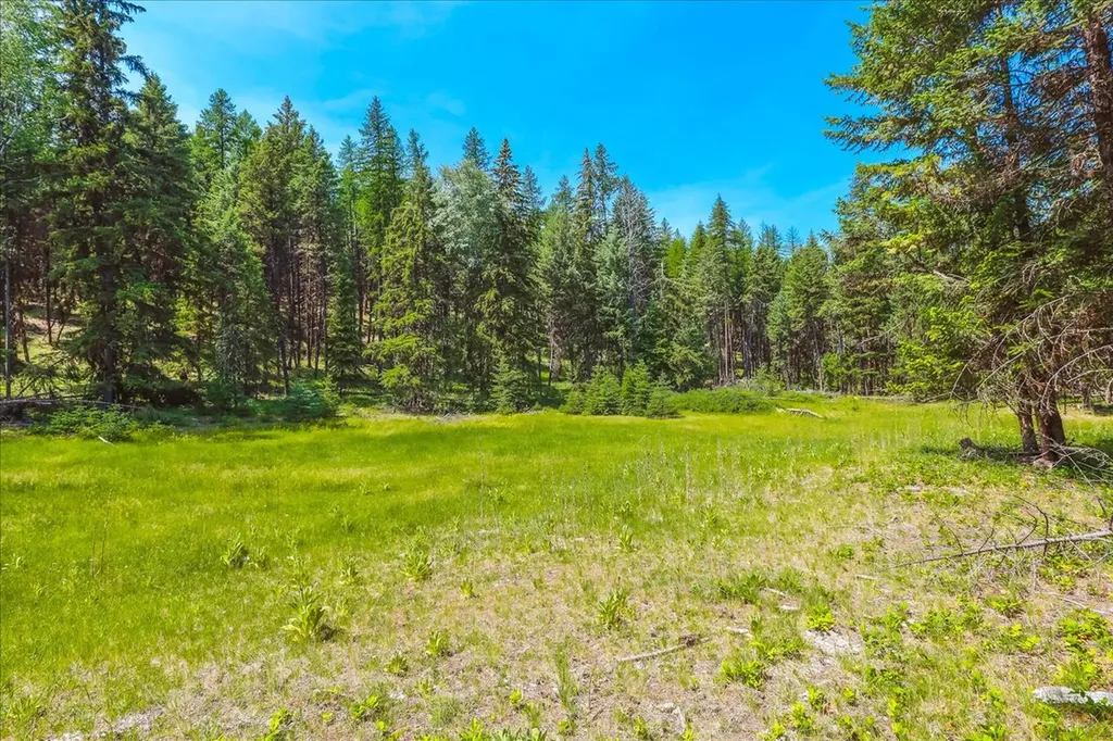Nhn Ray Flanagan Lane Eureka MT 59917