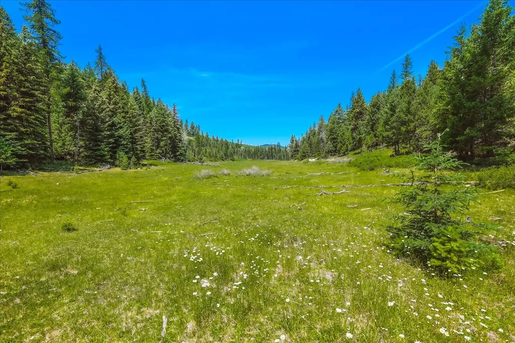 Nhn Ray Flanagan Lane Eureka MT 59917