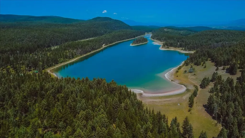 Nhn Ray Flanagan Lane Eureka MT 59917
