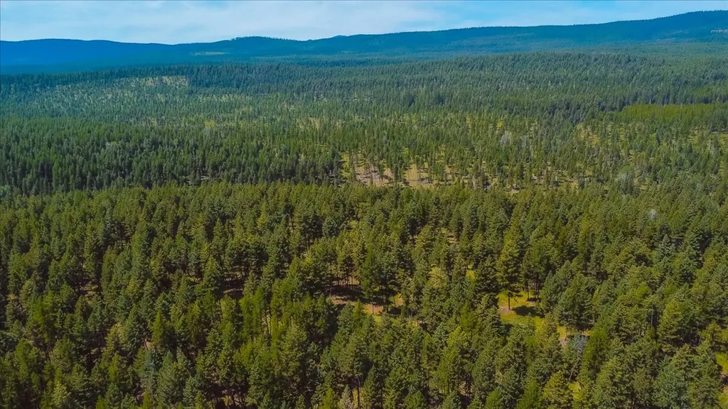 Nhn Ray Flanagan Lane Eureka MT 59917