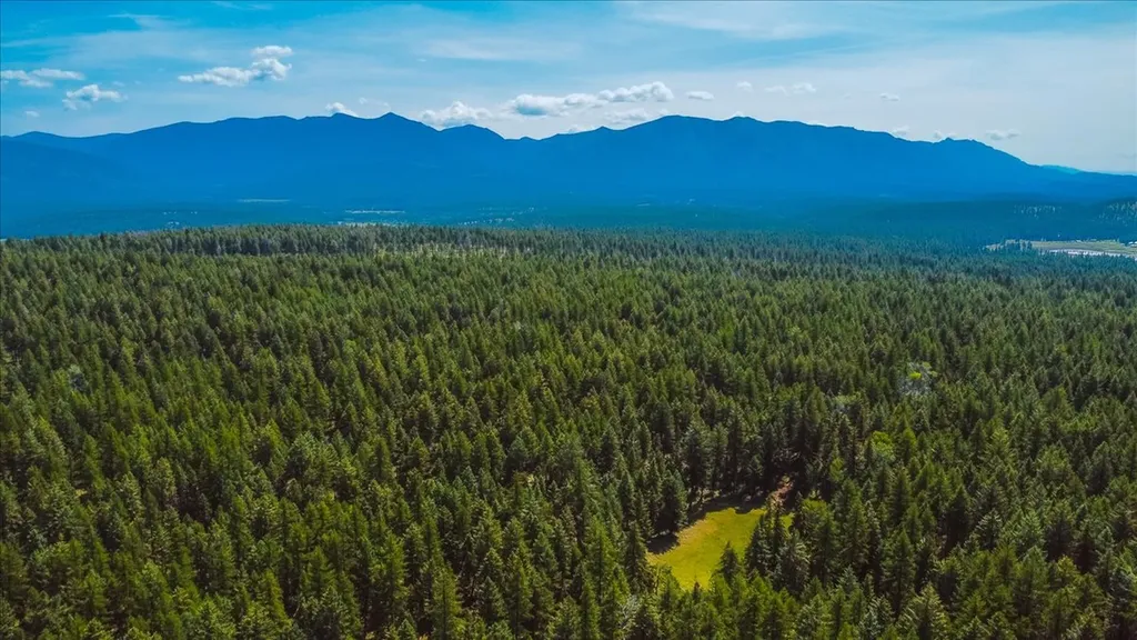 Nhn Ray Flanagan Lane Eureka MT 59917
