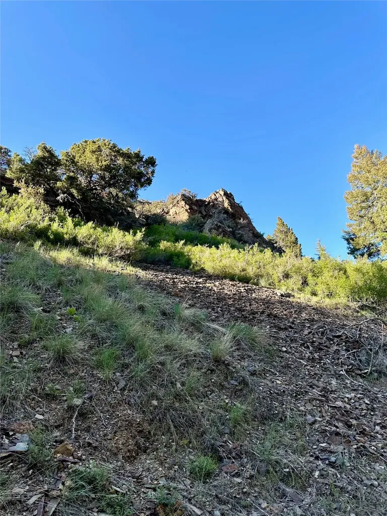 Tbd Soap Gulch Road Melrose MT 59743