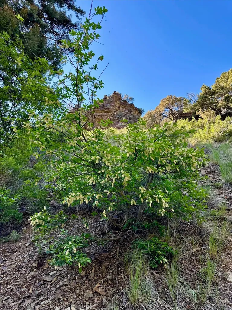 Tbd Soap Gulch Road Melrose MT 59743
