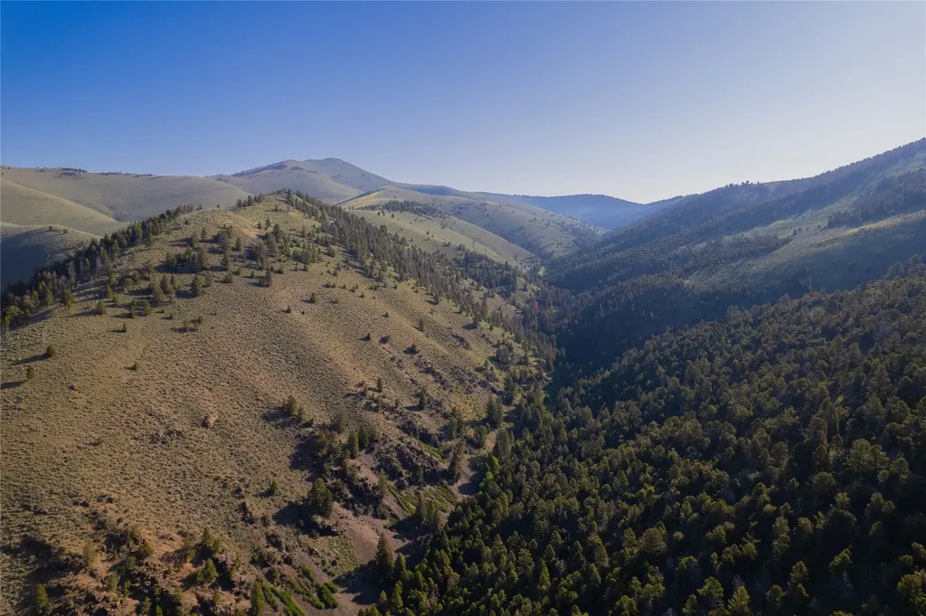 Tbd Soap Gulch Road Melrose MT 59743